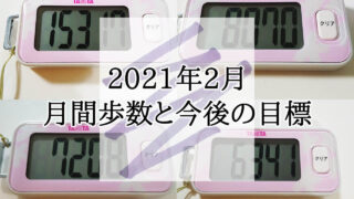 2021年 2月 月間歩数 目標 ウォーキング