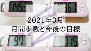 2021年 3月 月間歩数 目標 ウォーキング